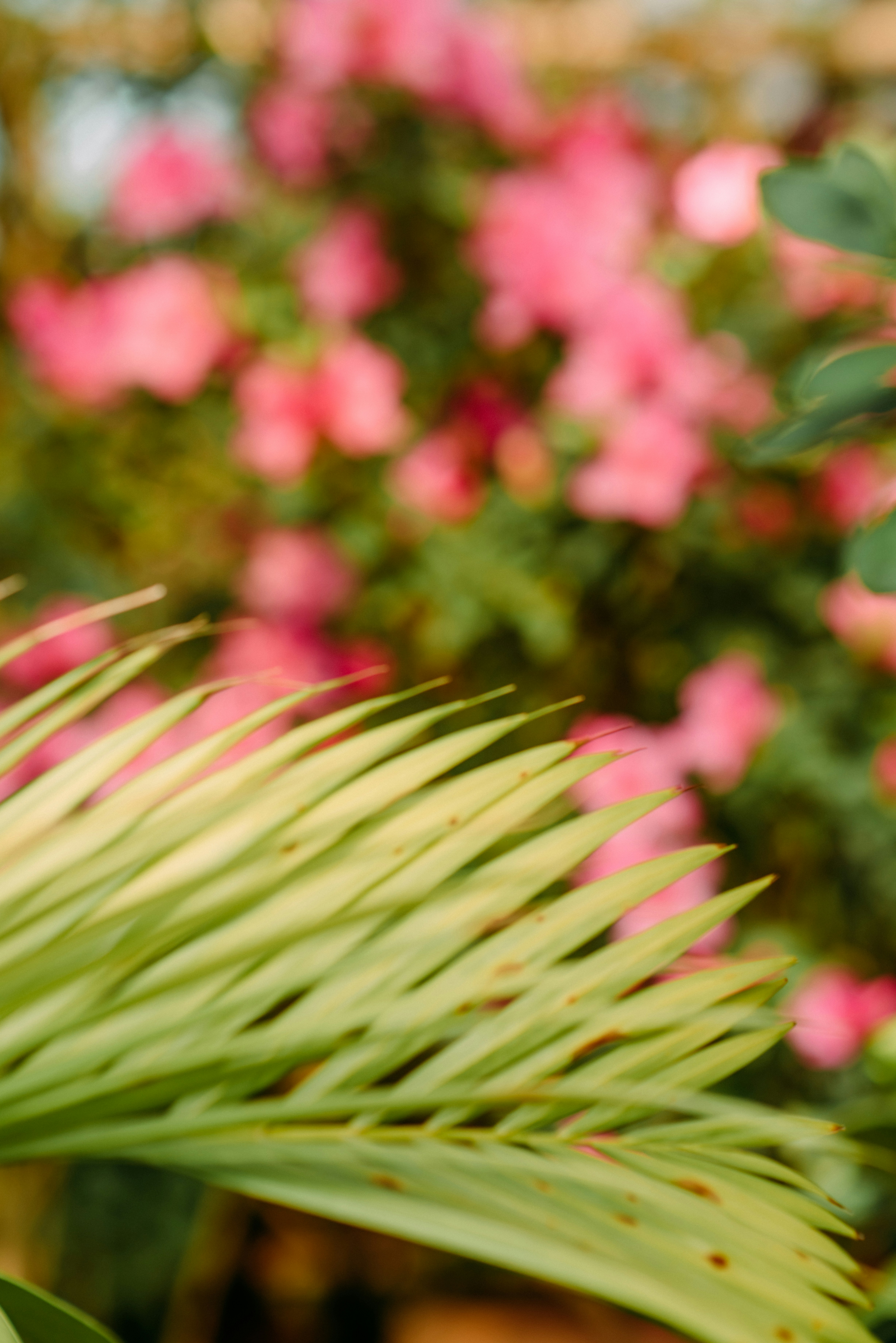 Photo by eugenivy_now