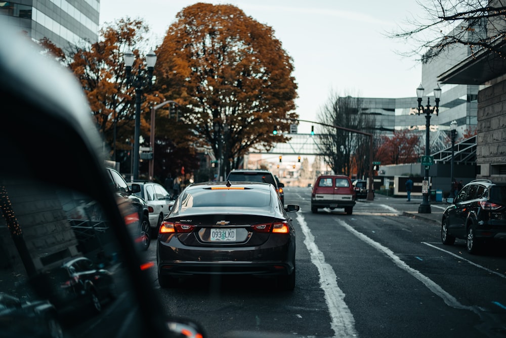 black car on road near bare trees during daytime