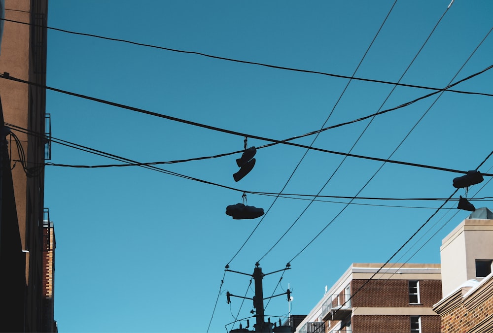 black and white cable cars