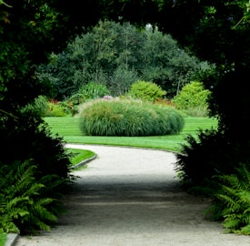 A well-maintained garden path curves gently through lush greenery, surrounded by tall bushes and trees. The area is bordered by dense foliage, creating a natural archway over the pathway, leading to a vibrant, circular shrub in the center. The scene is filled with various shades of green, with hints of colorful flowers peeking through the bushes, evoking a sense of tranquility and natural beauty.