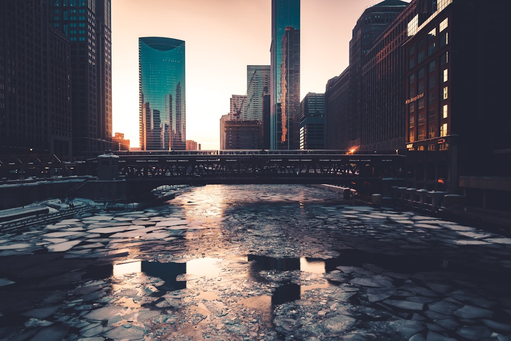 body of water between high rise buildings during night time