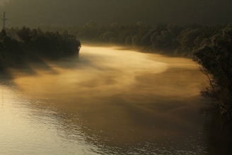 A serene riverside stay at dawn with mist rising over the water and lush green trees surrounding a cozy cabin.
