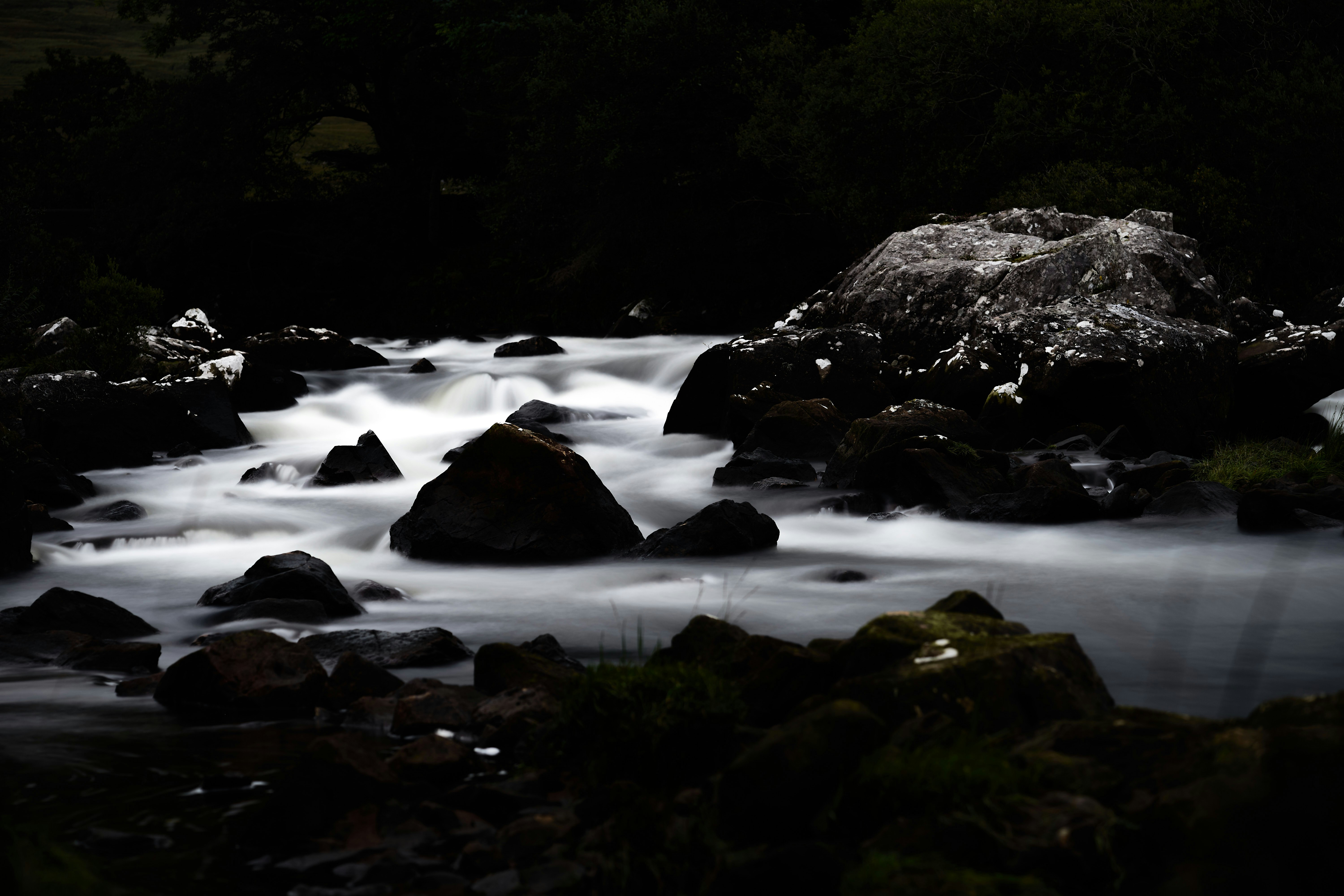 Photo by wolfgang_hasselmann