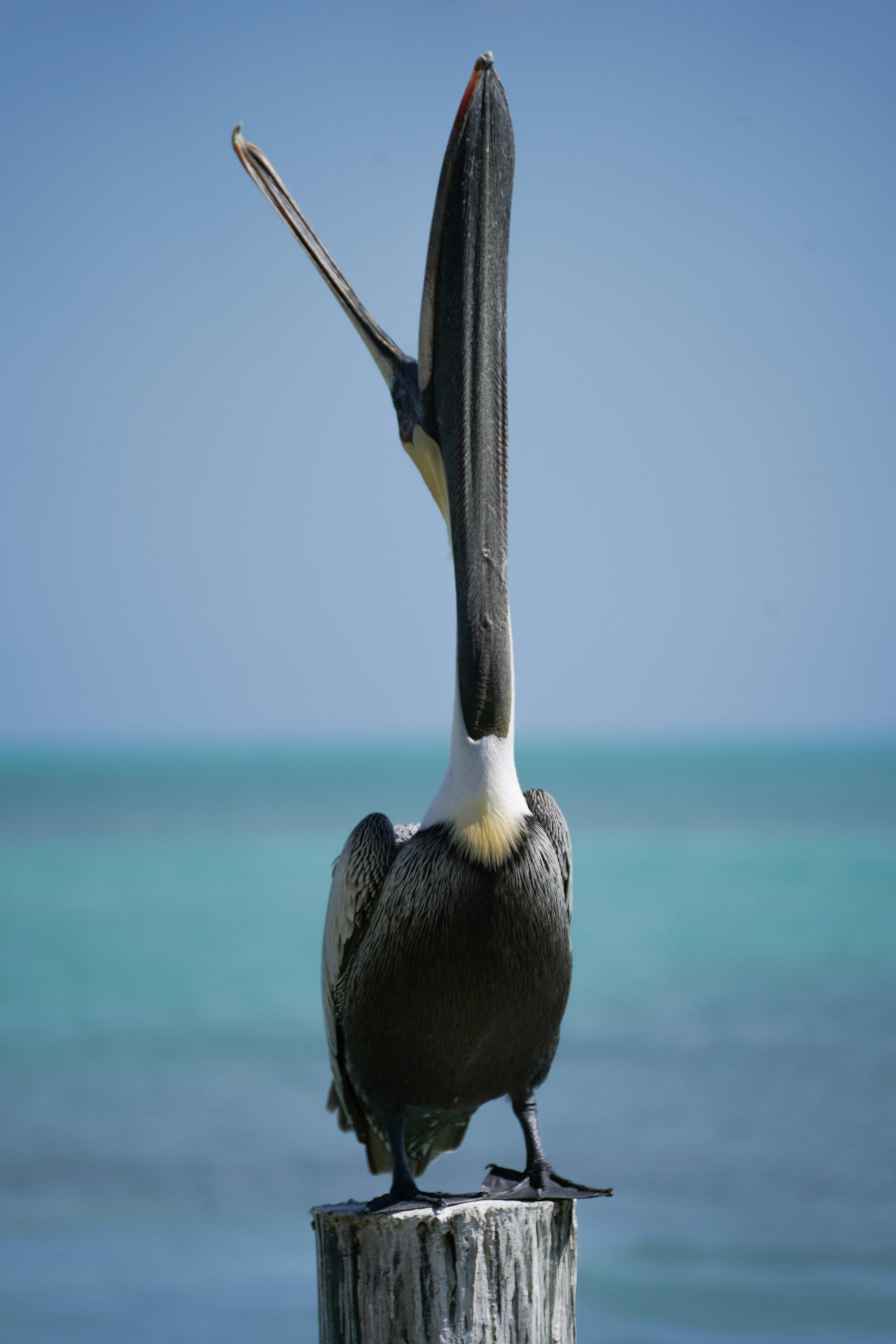 Photo by averycohen_