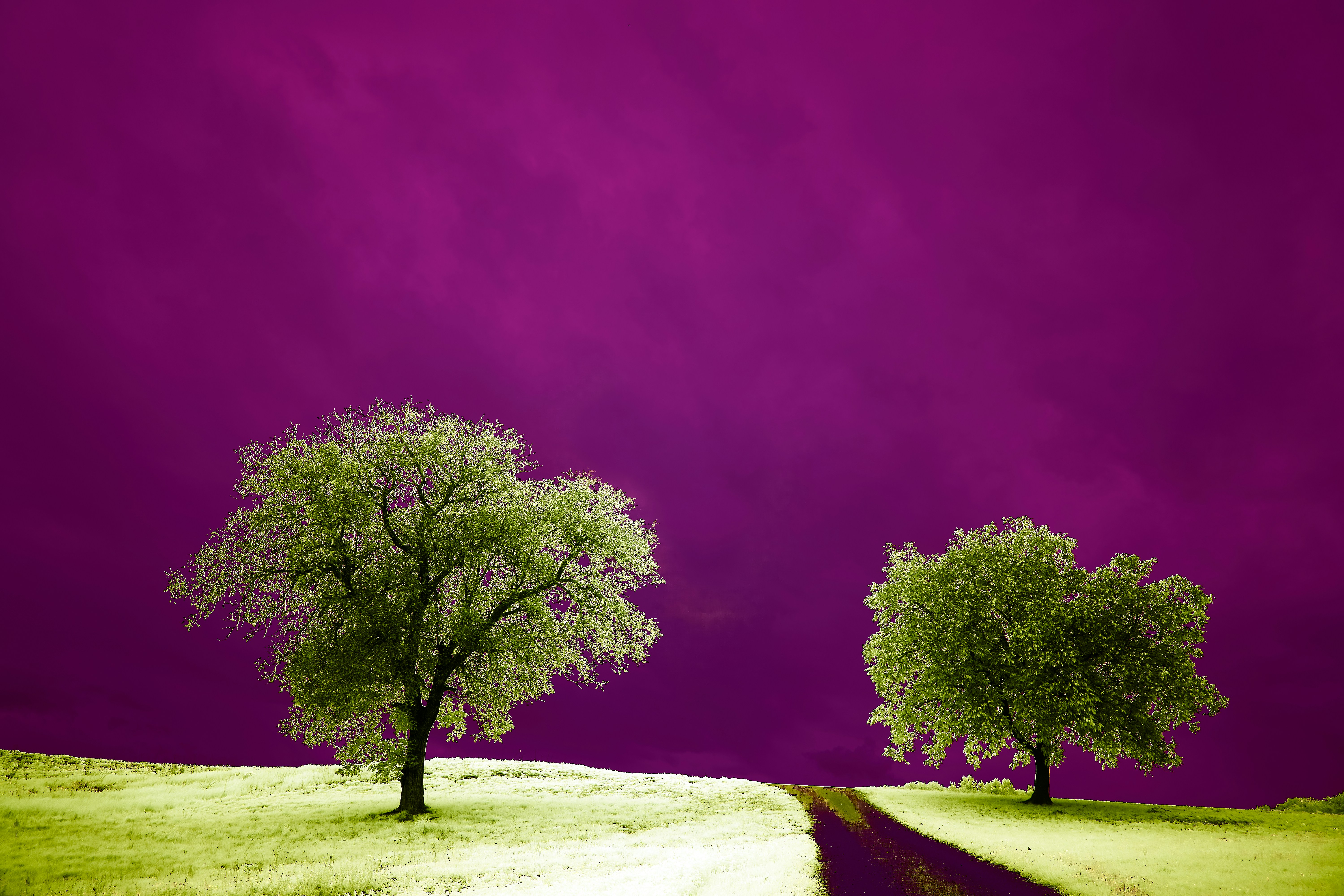 Photo by wolfgang_hasselmann