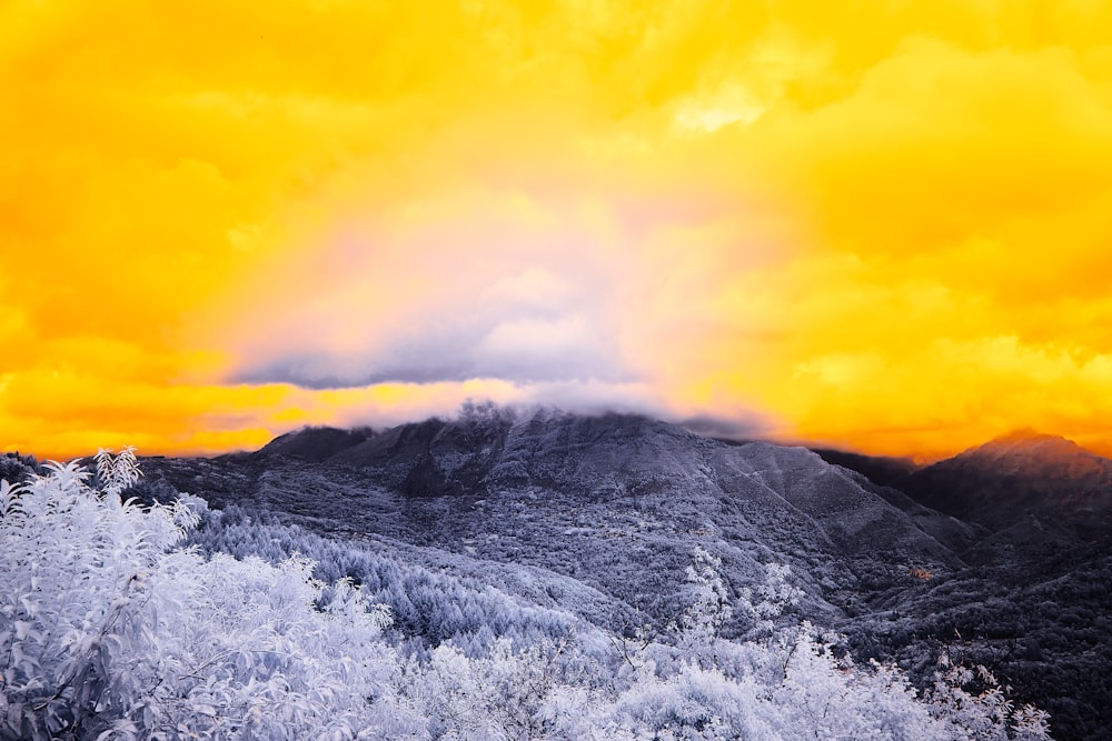 snow covered mountain under cloudy sky during daytime