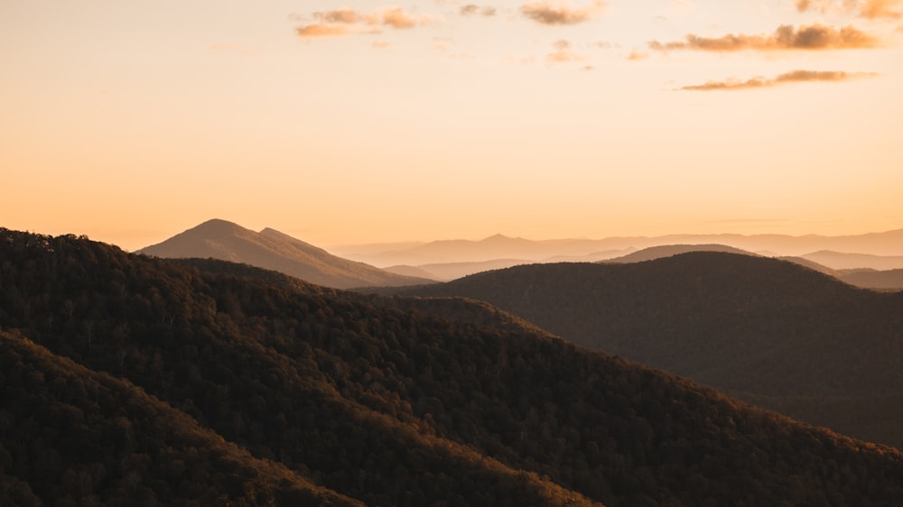 árvores verdes na montanha durante o dia