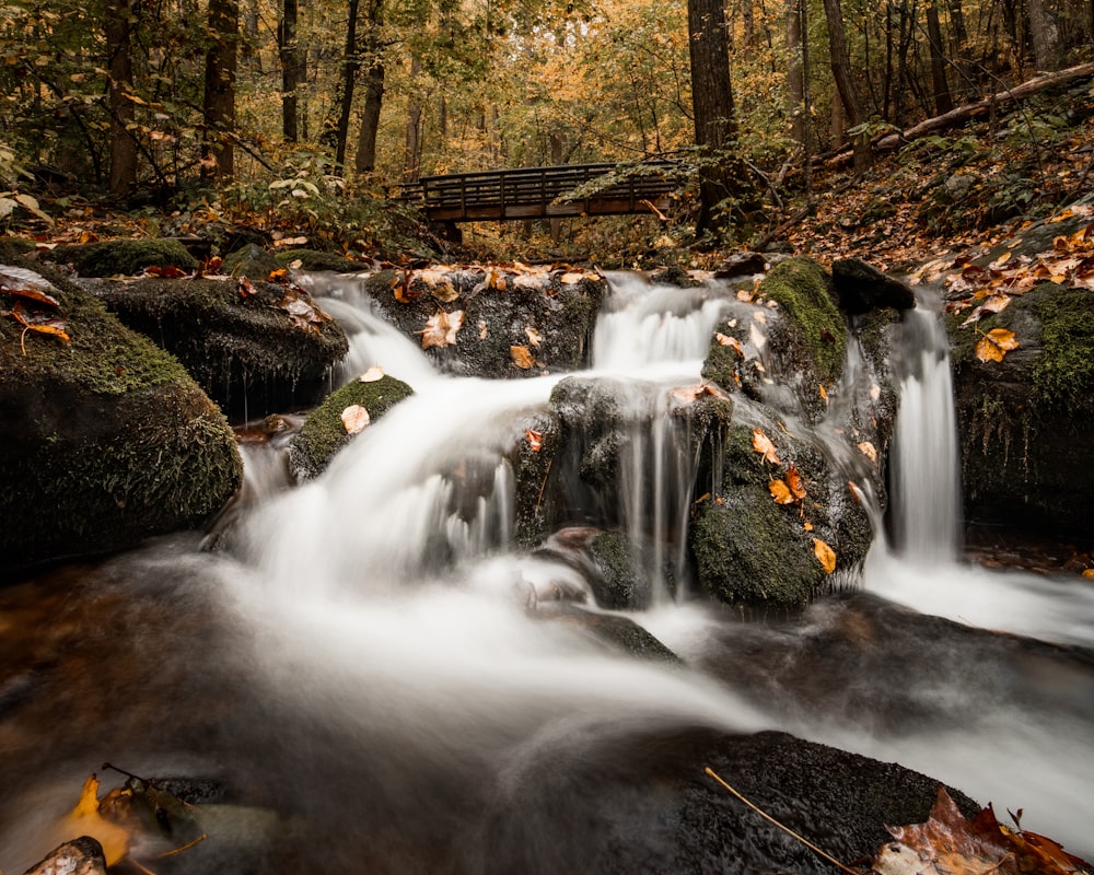 water falls in the forest