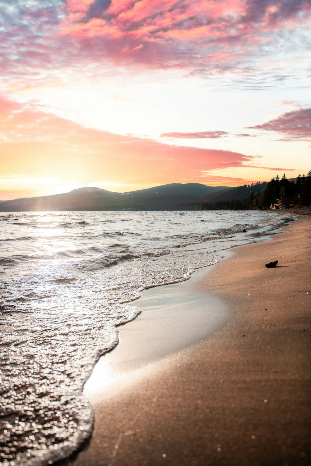 people on beach during sunset