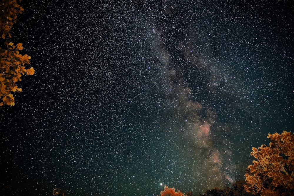 blue sky with stars during night time