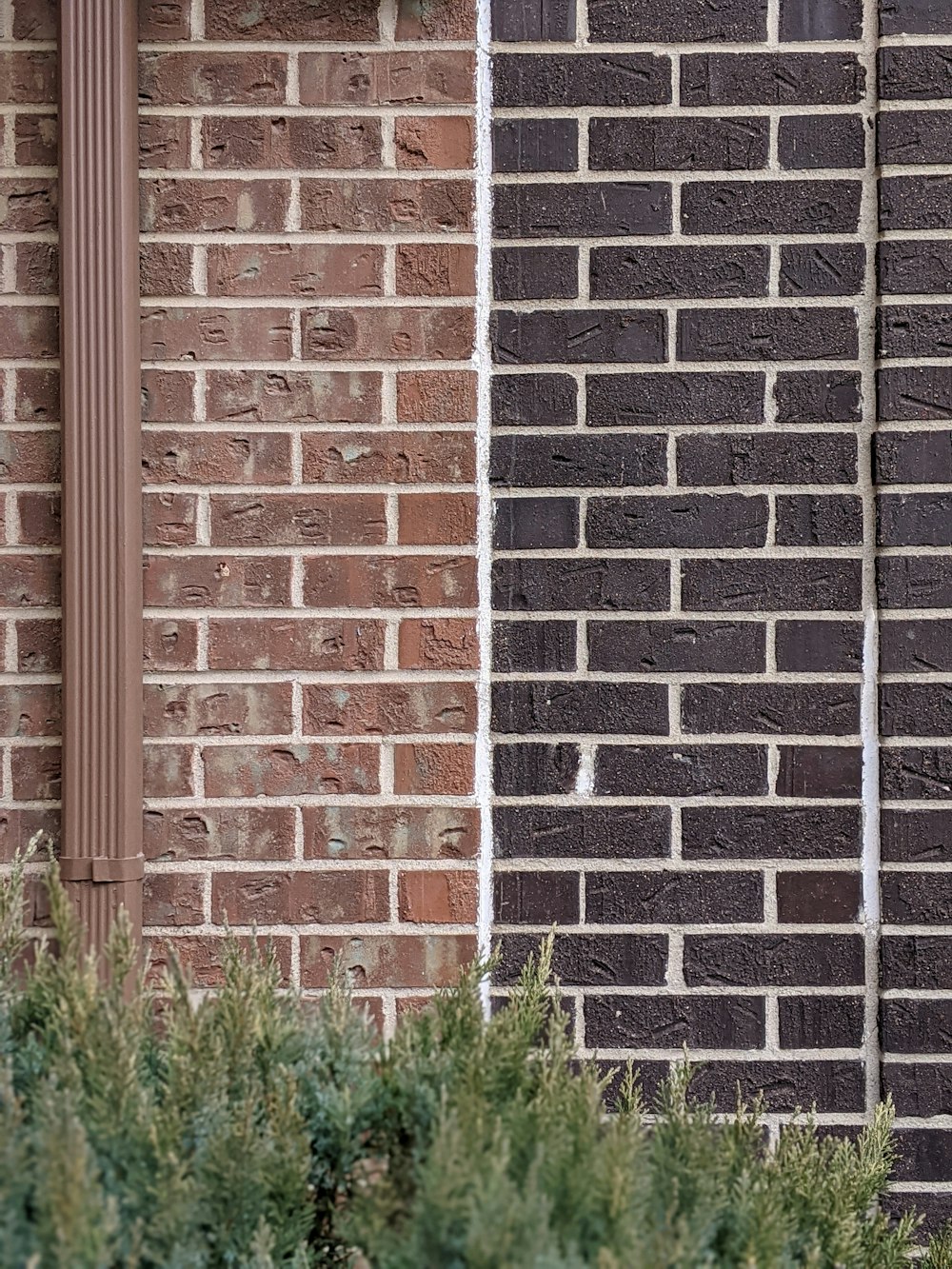 green grass beside brown brick wall