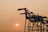 A heavy-duty crane lifting industrial equipment at a construction site during sunset.