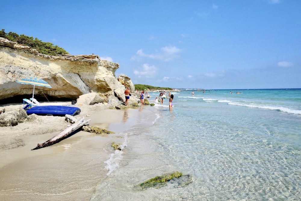 people on beach during daytime