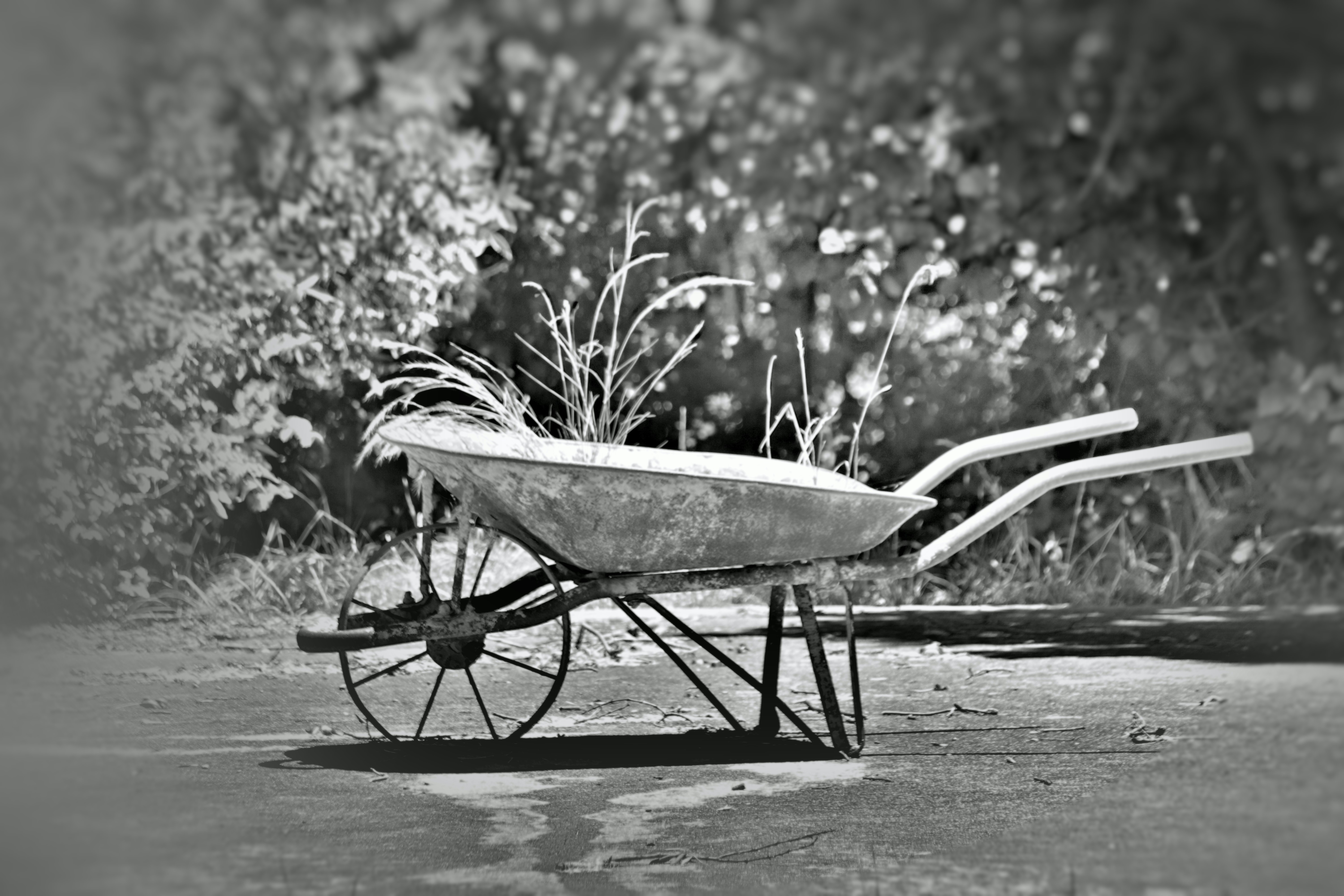 Making the Most of Your Wagon Cart: Unexpected Use Cases and Buyer Profiles