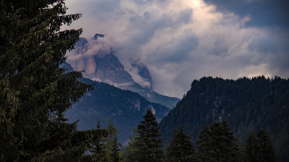 green trees on mountain under white clouds during daytime