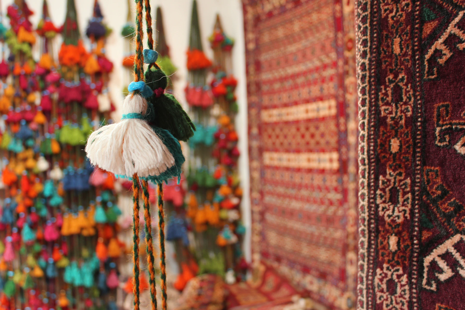 woman holding dried flower
