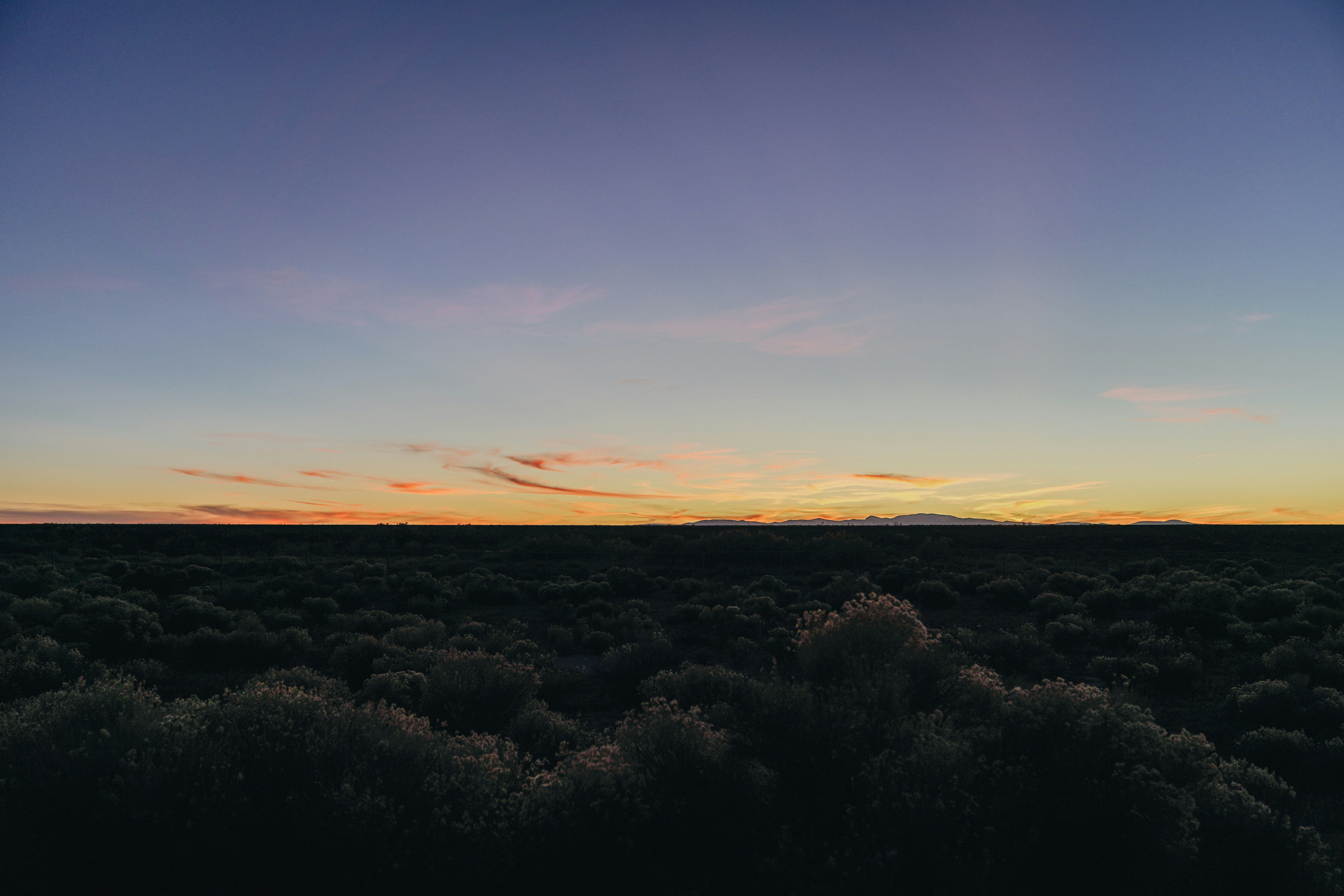 Photo by moriahaslan