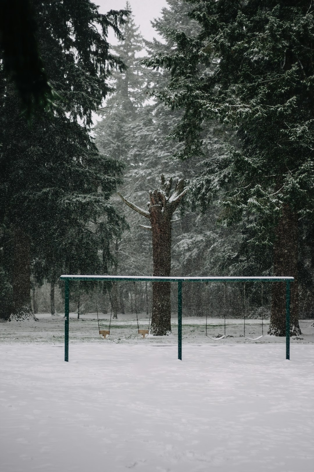 black metal fence near trees covered with snow