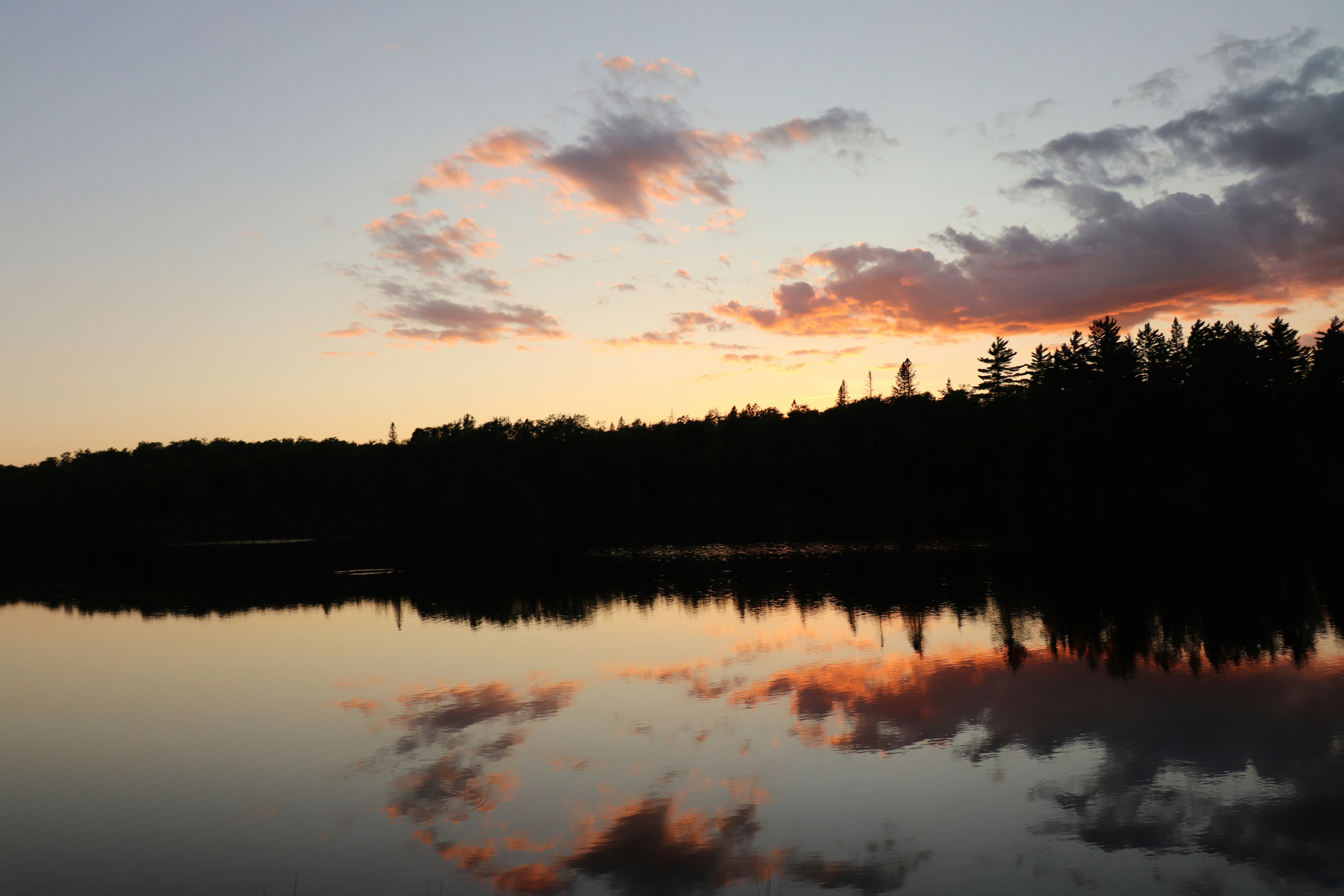 Photo by sandimagerart