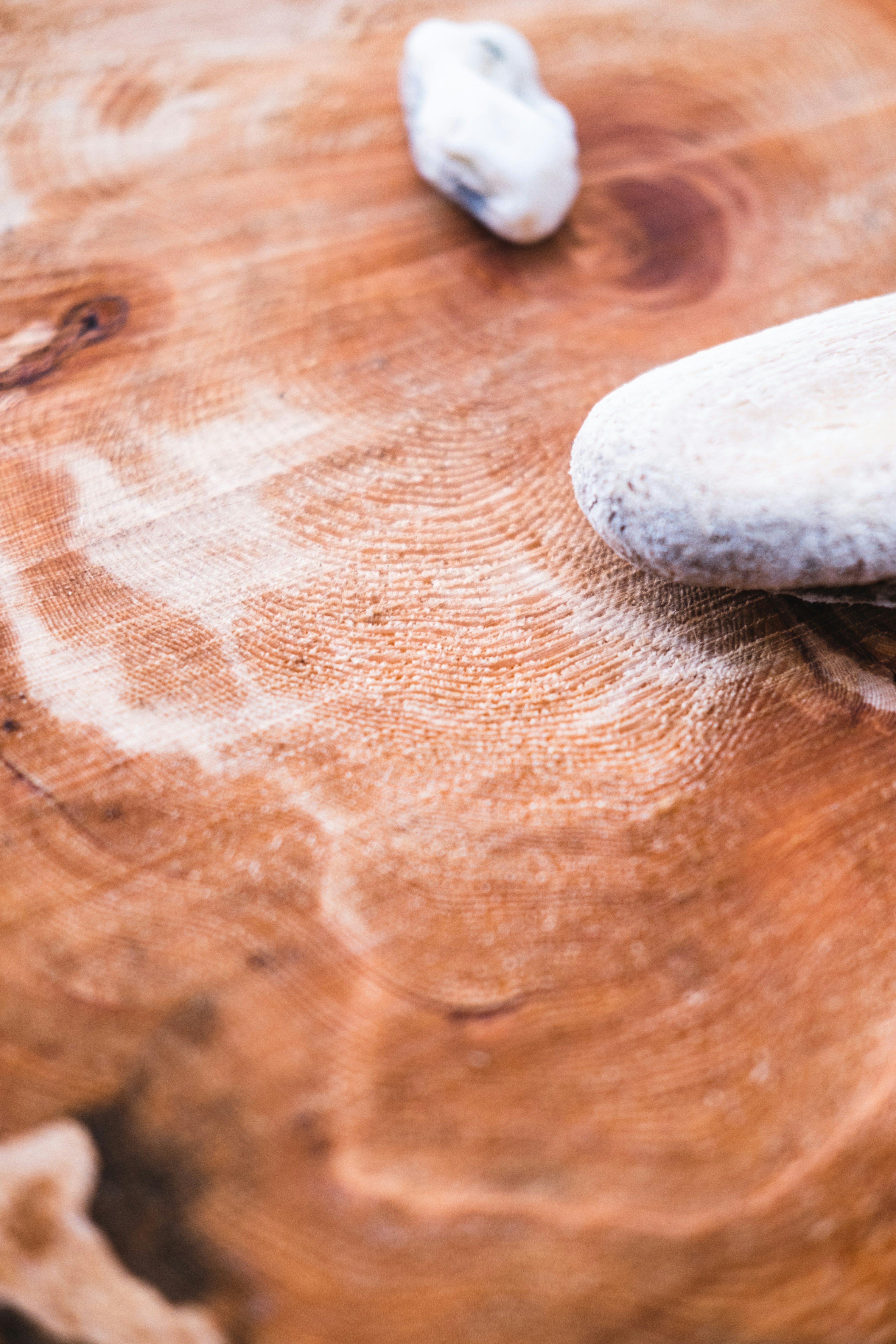 Photo by northernstatemedia