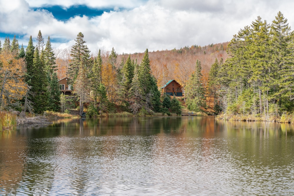 brown house near green trees and lake during daytime