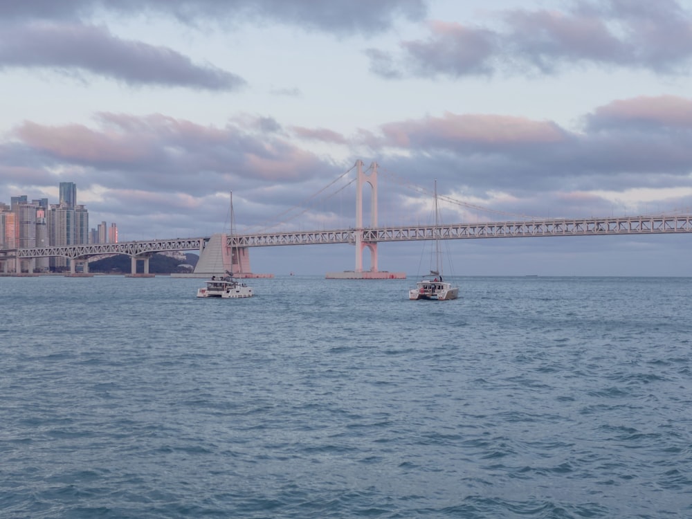 white boat on sea under bridge during daytime