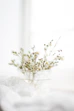 white flowers in clear glass vase