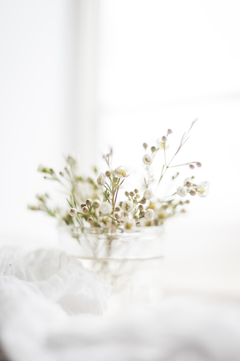 white flowers in clear glass vase