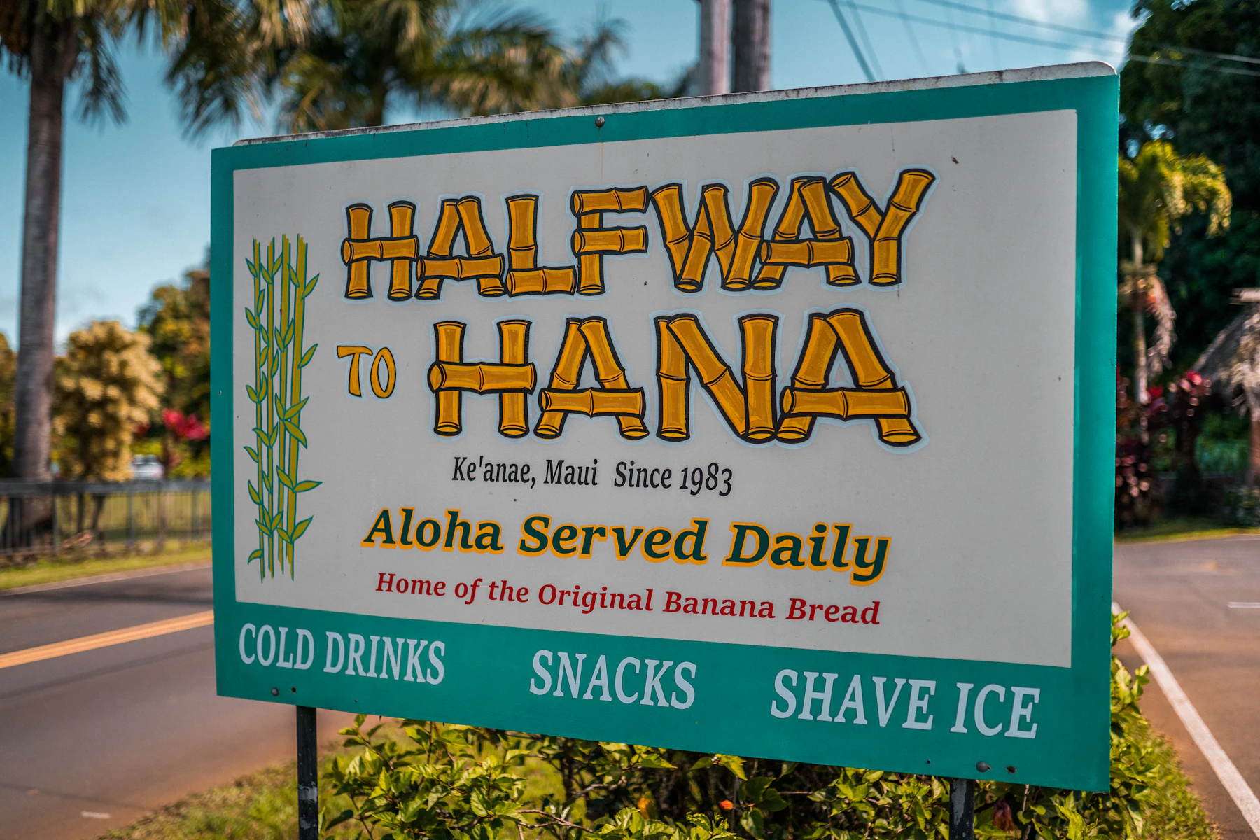 Winding-road signage along the Hana Highway