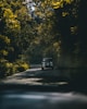 black suv on road between trees during daytime