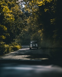 black suv on road between trees during daytime