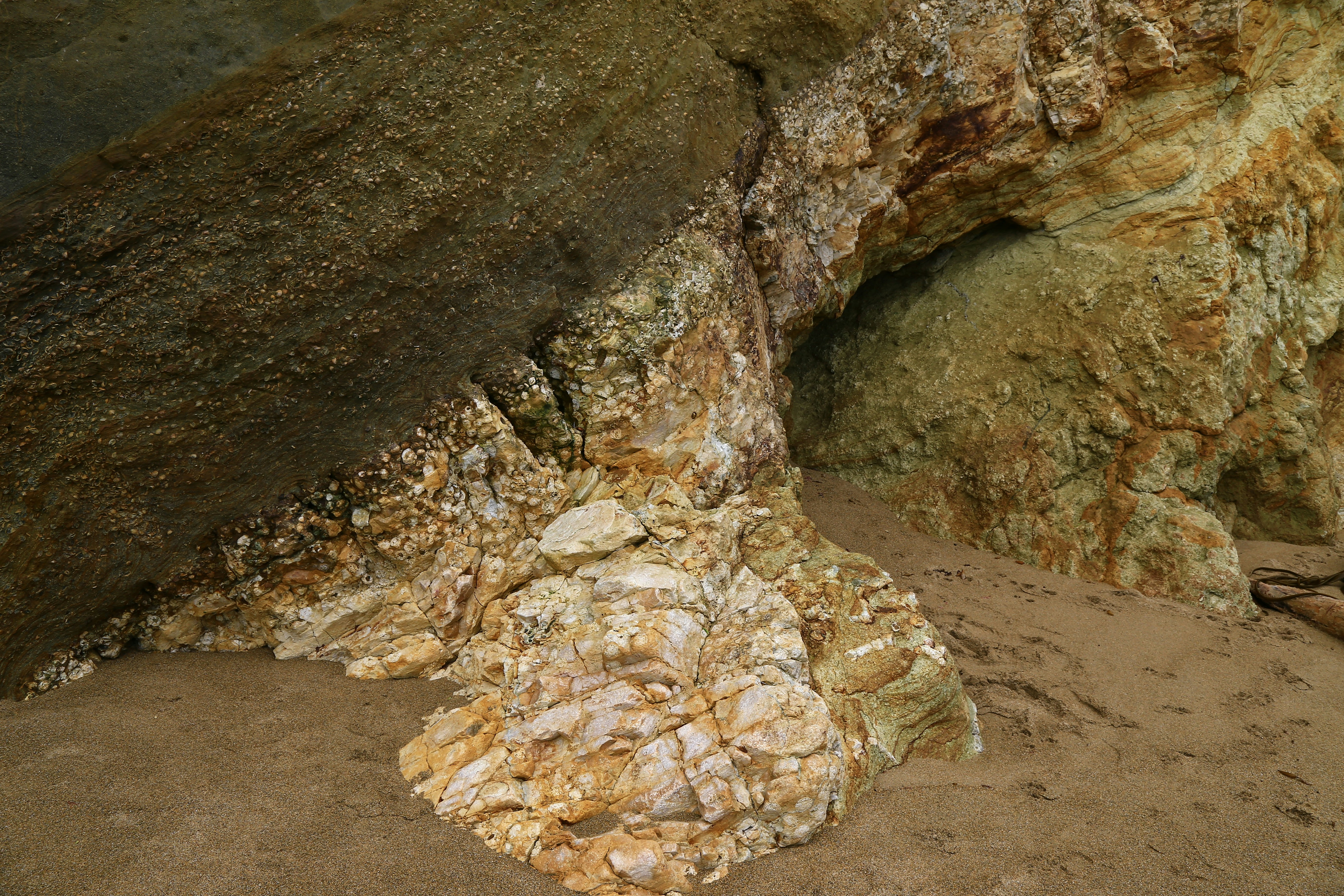 Rugged coastal rock has been eroded to expose ancient fossils of fish and shells.