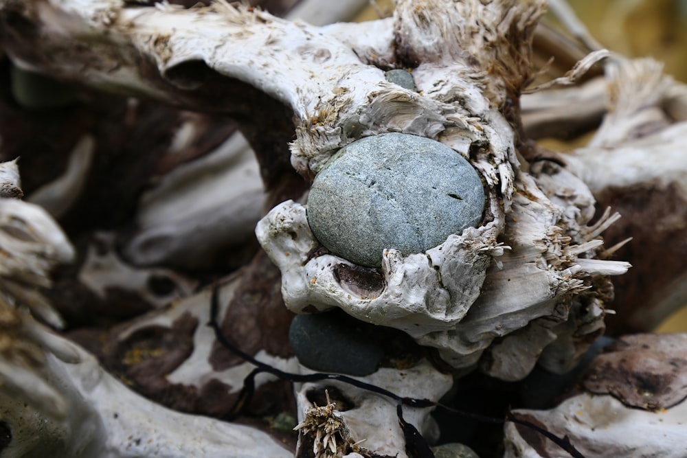 gray stone on brown wood