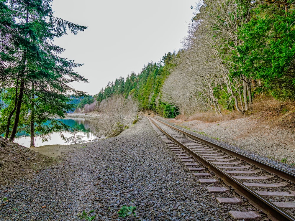 brown train rail near green trees during daytime