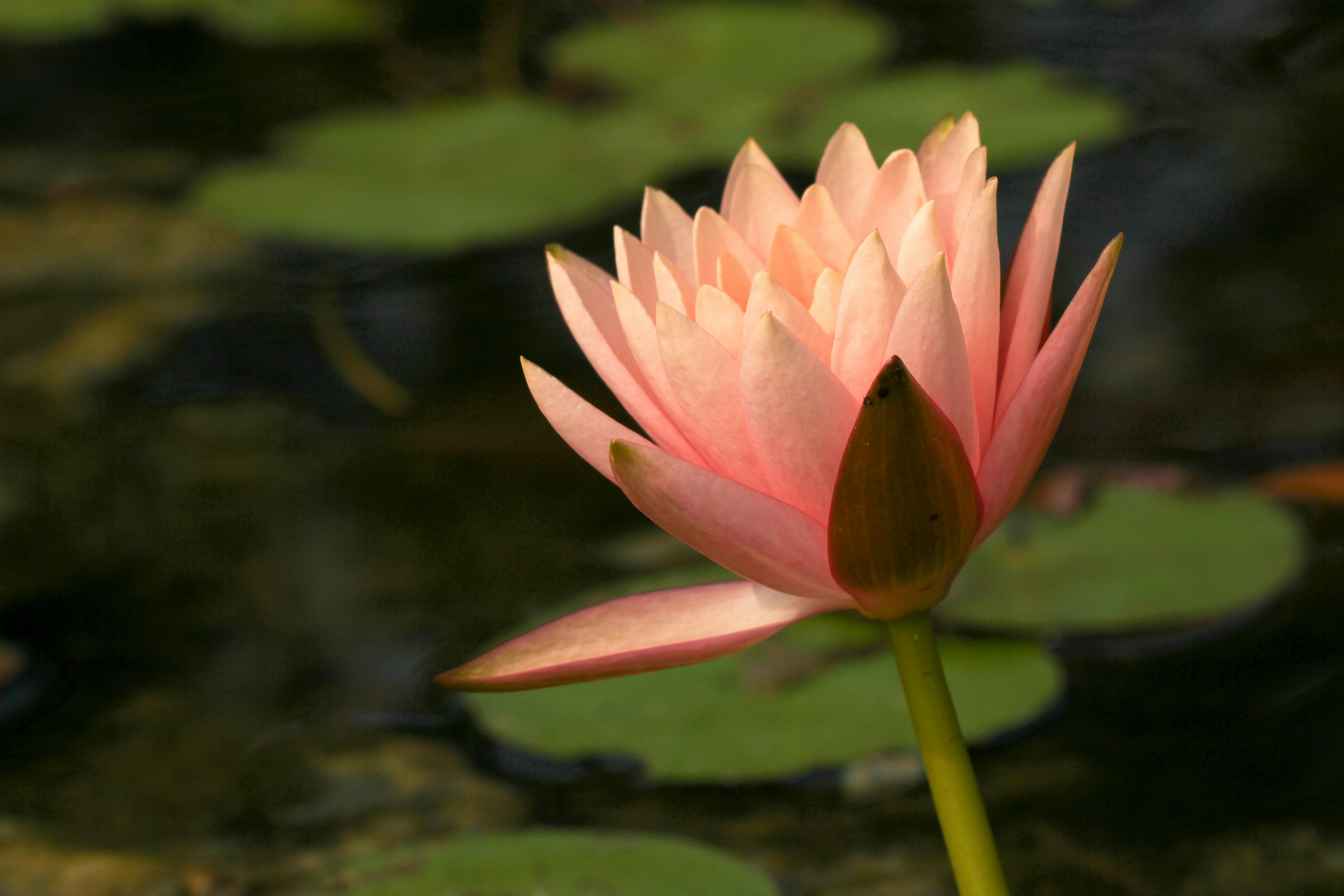 Photo by borisworkshop