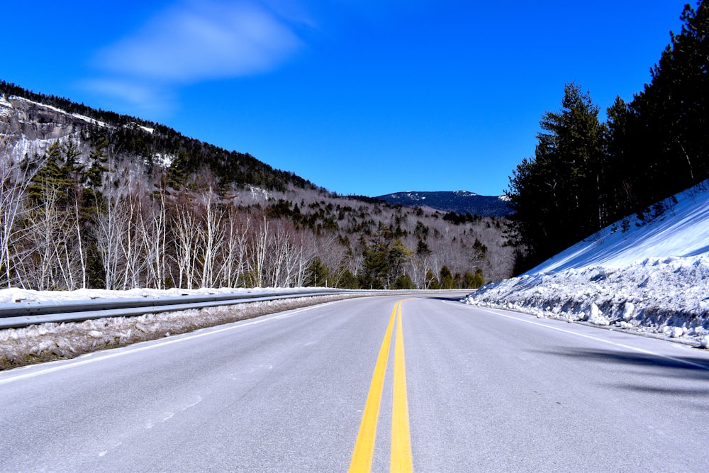 gray concrete road between trees under blue sky during daytime