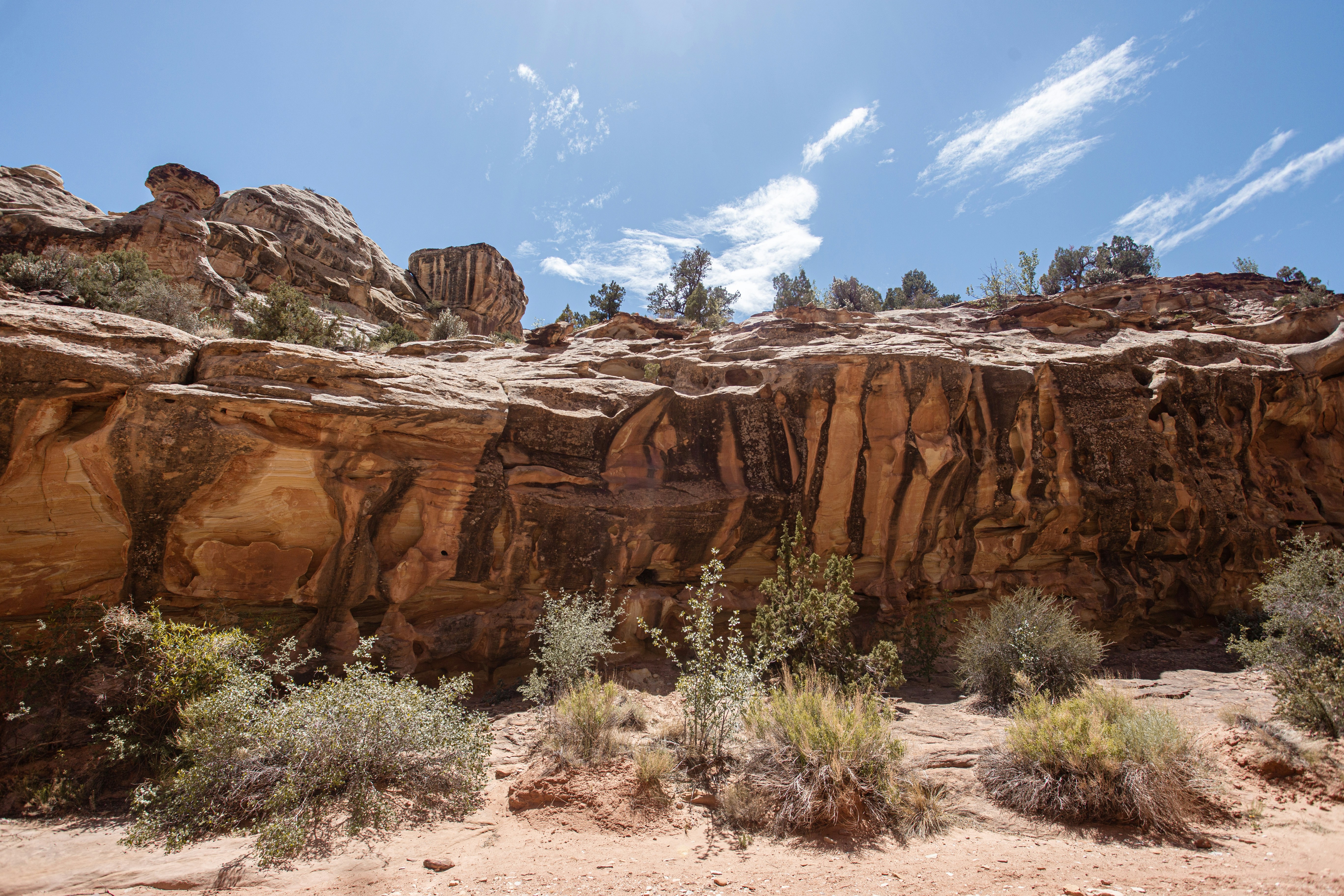 Photo by veronika_bykovich