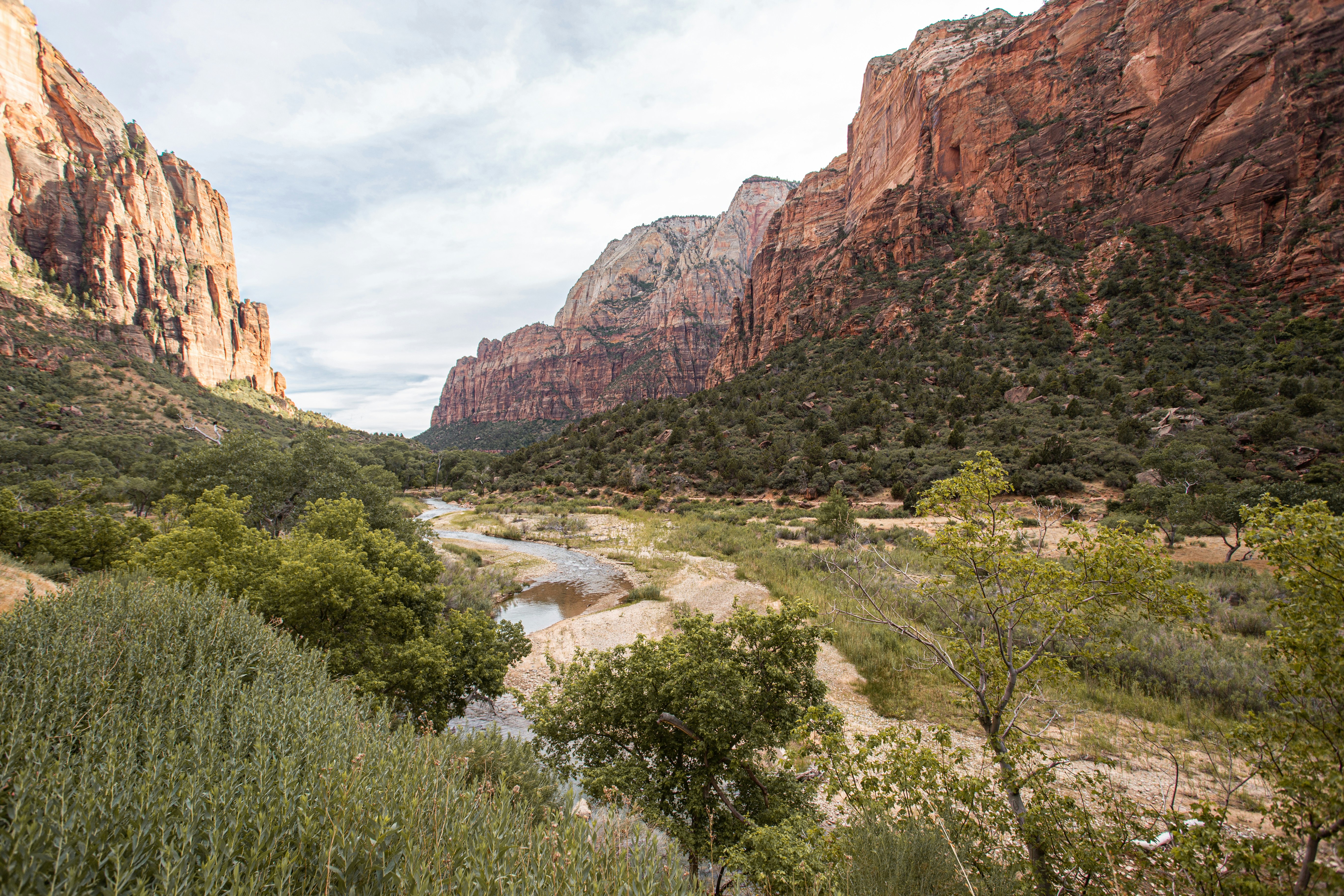 green trees near brown mountain during daytime, Zion National Park, Utah