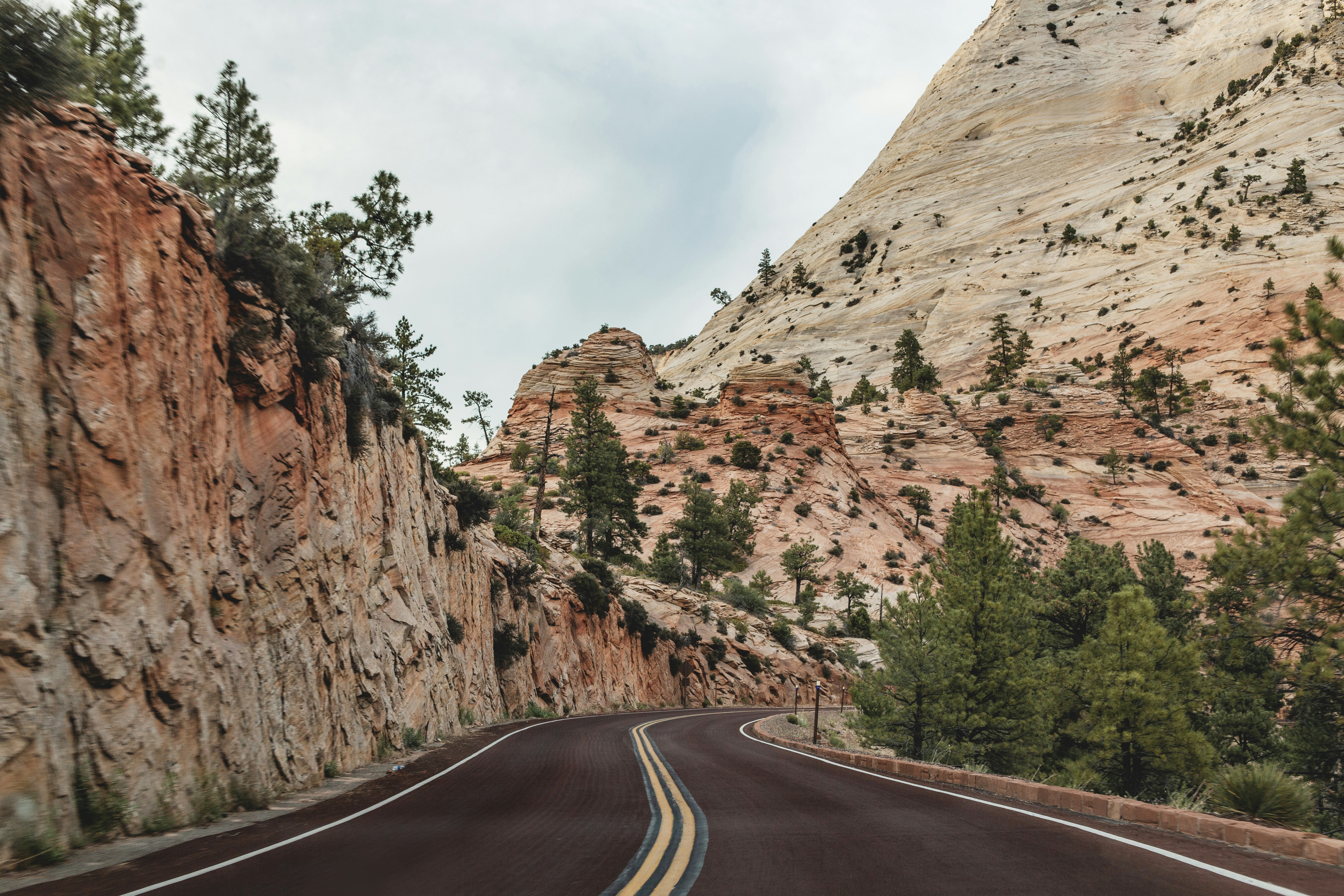 gray asphalt road between brown rocky mountain during daytime, Zion National Park, Utah