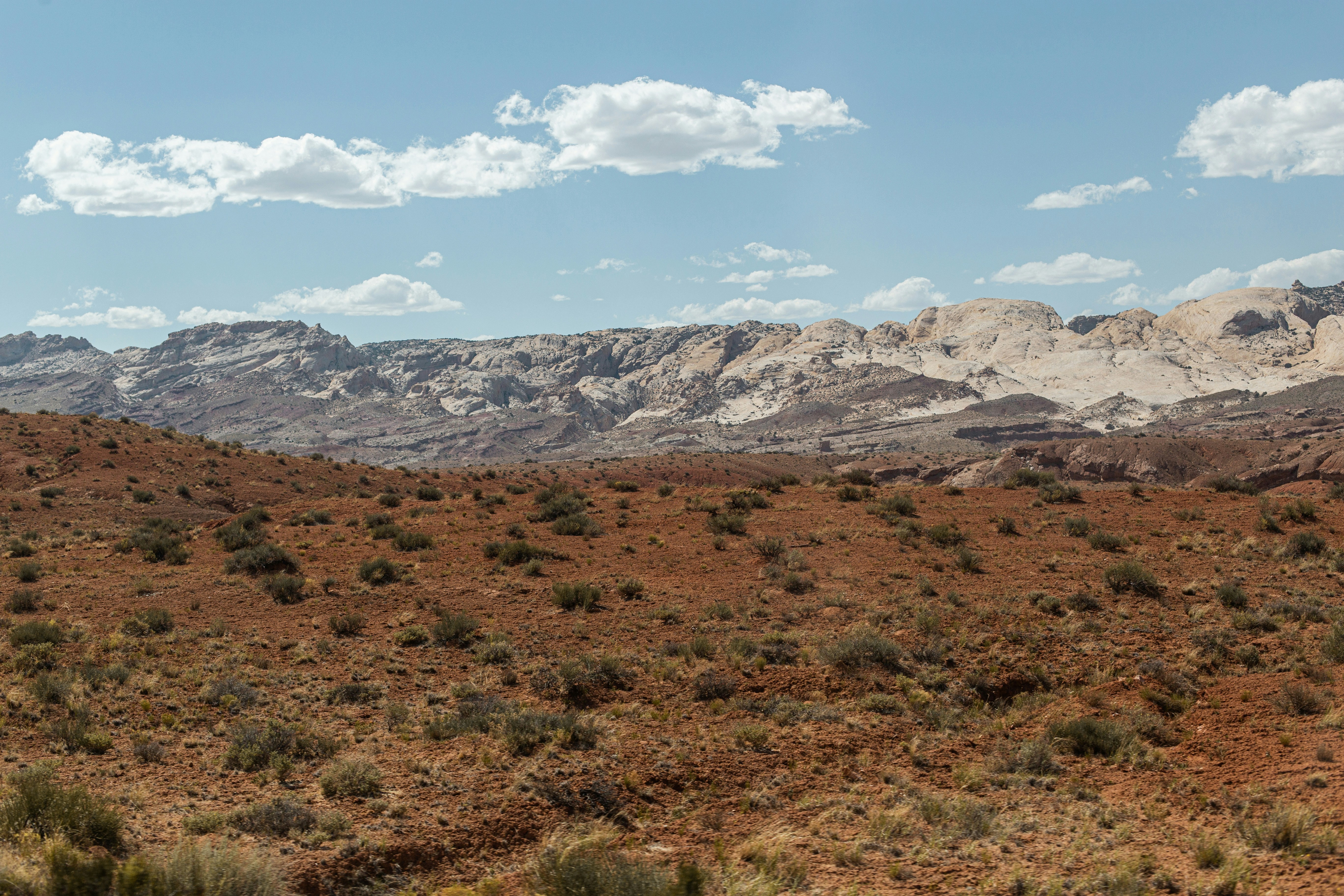 Photo by veronika_bykovich