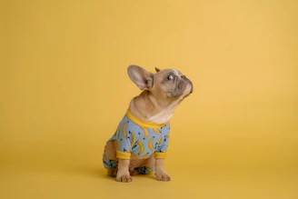 brown and white ceramic dog figurine