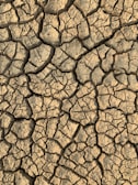 A close-up view of dry, cracked earth with intricate patterns forming between the fissures. The surface appears arid and parched, with shades of brown and beige.