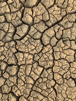 A close-up view of dry, cracked earth with intricate patterns forming between the fissures. The surface appears arid and parched, with shades of brown and beige.