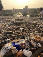 A deep teal sea glass nestled among scattered shells on a tropical beach at sunset.