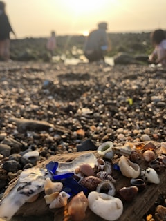 Sunset light casting warm glows on scattered sea glass along the beach