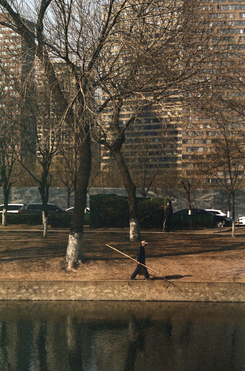 person walking on sidewalk near bare trees during daytime