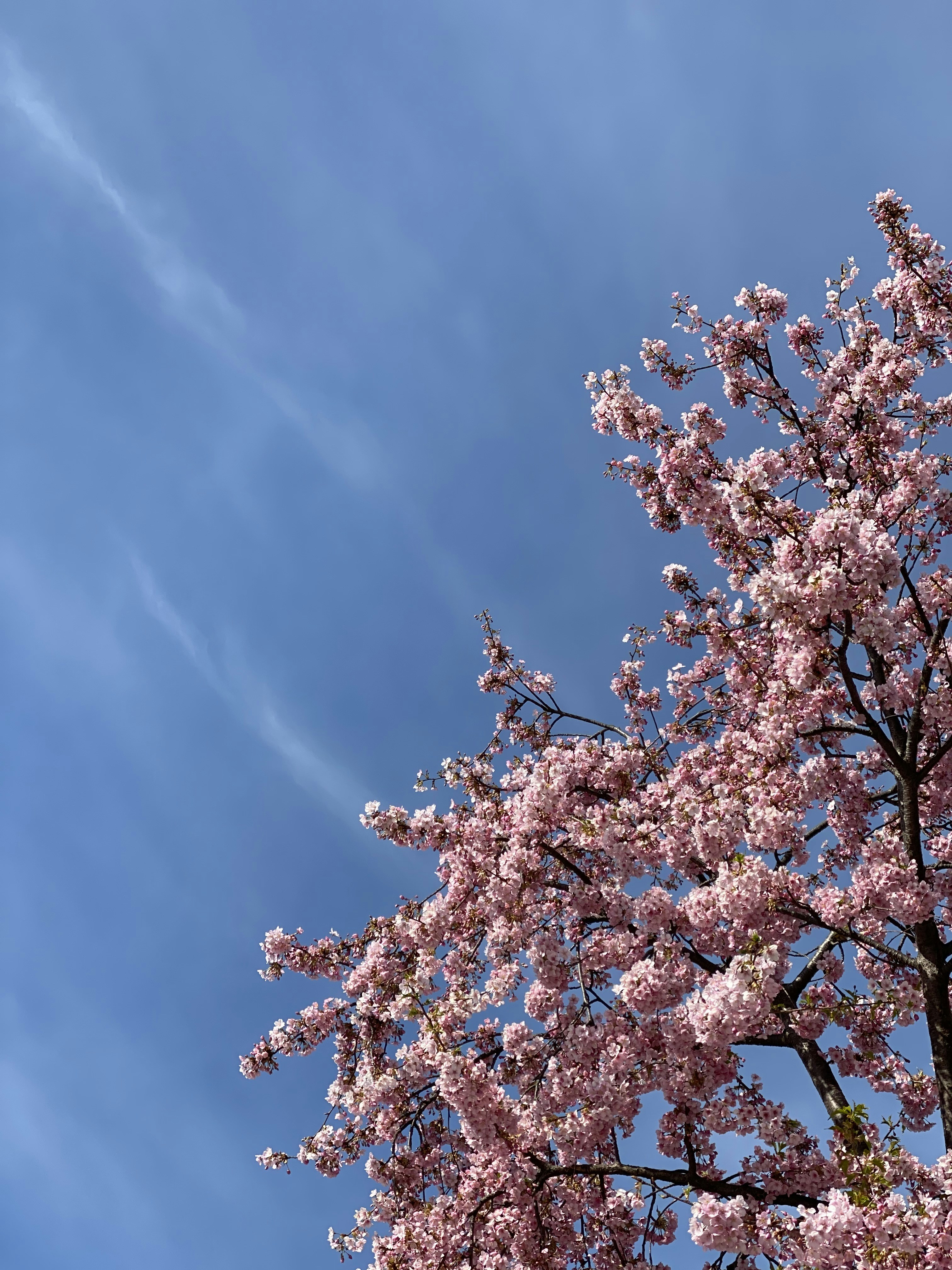 Photo by fivesensesm