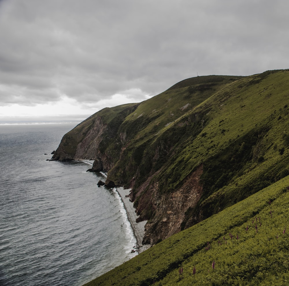 green grass field beside sea under cloudy sky during daytime