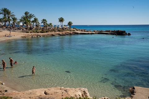 people swimming on beach during daytime