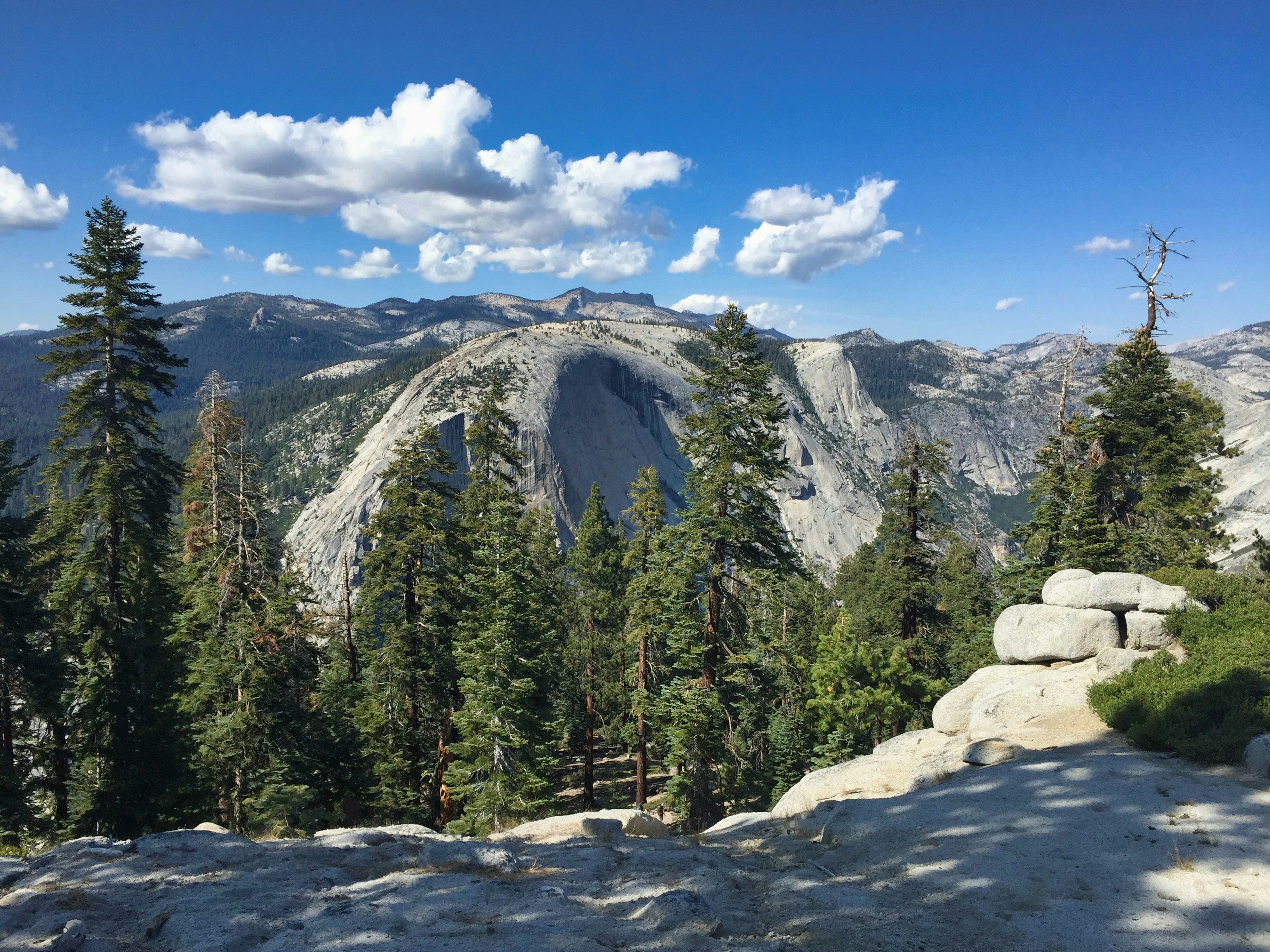 green pine trees near mountain under blue sky during daytime